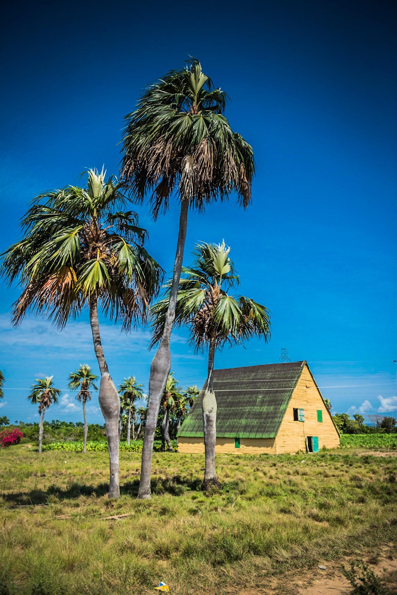 Pinar Del Rio: The Countryside