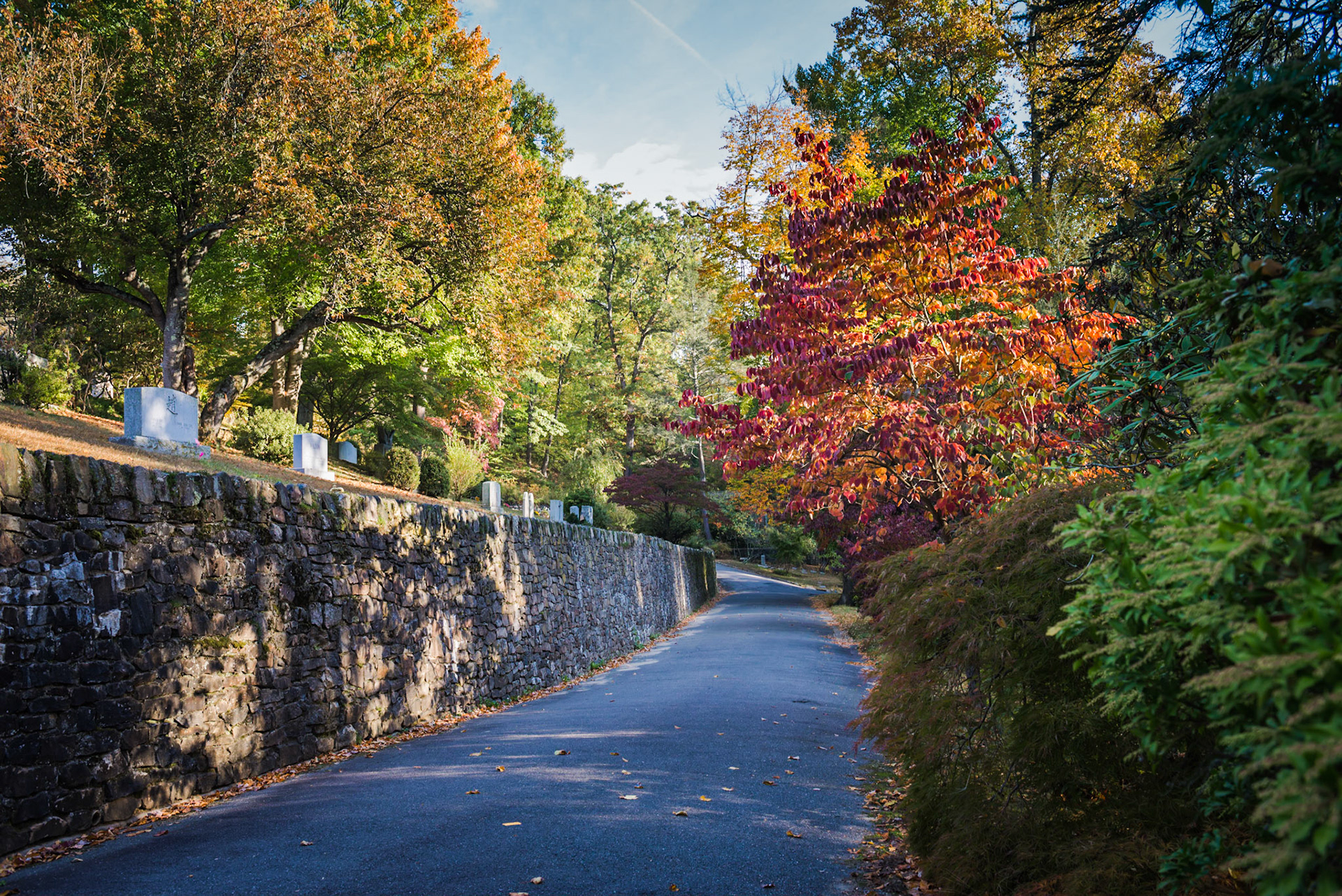 In Tarrytown New York