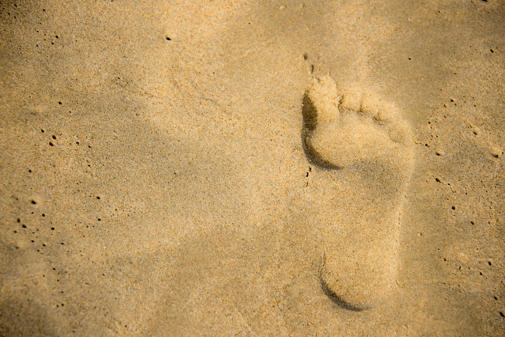 footprint