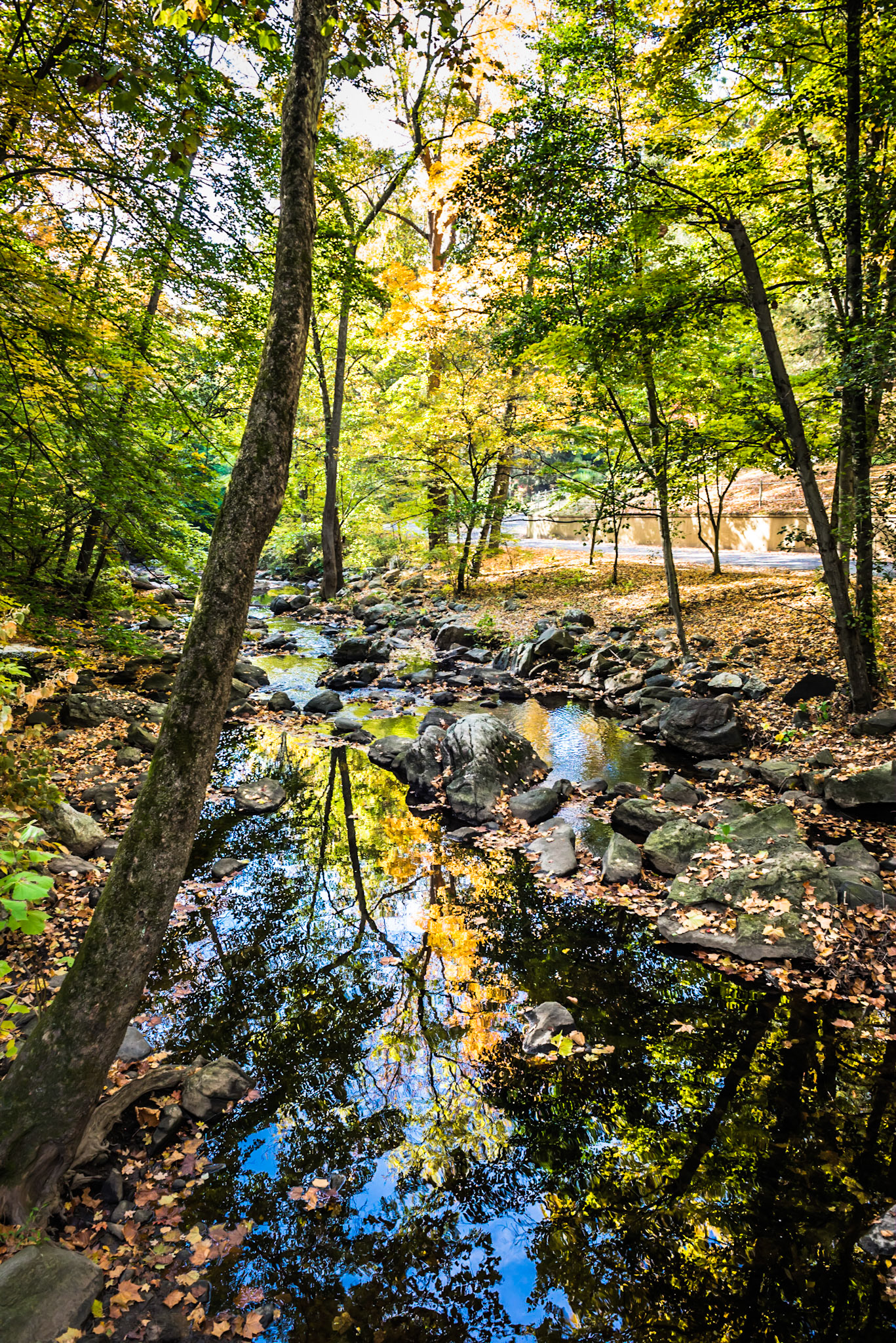 Sleepy Hollow Cemetery in Tarrytown New York