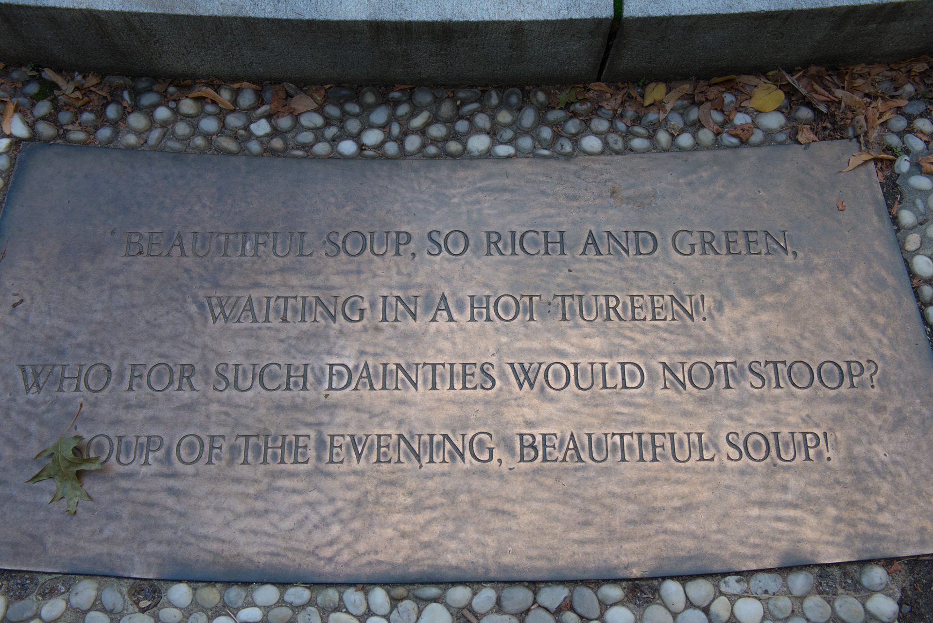 Beautiful Soup in Central Park