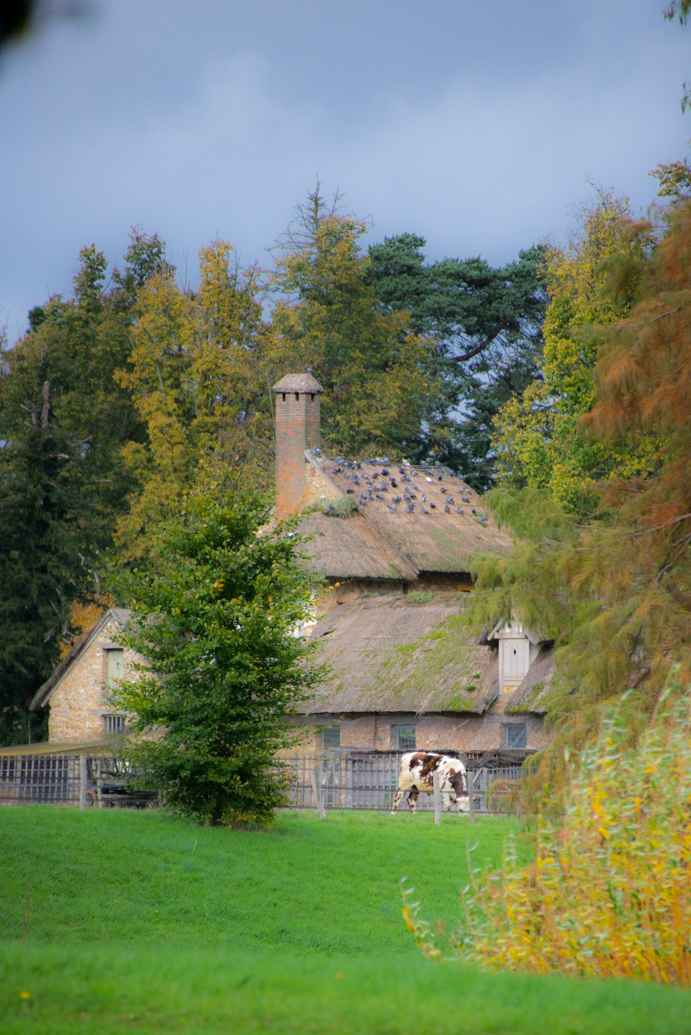 Queens Hamlet - Palace of Versailles