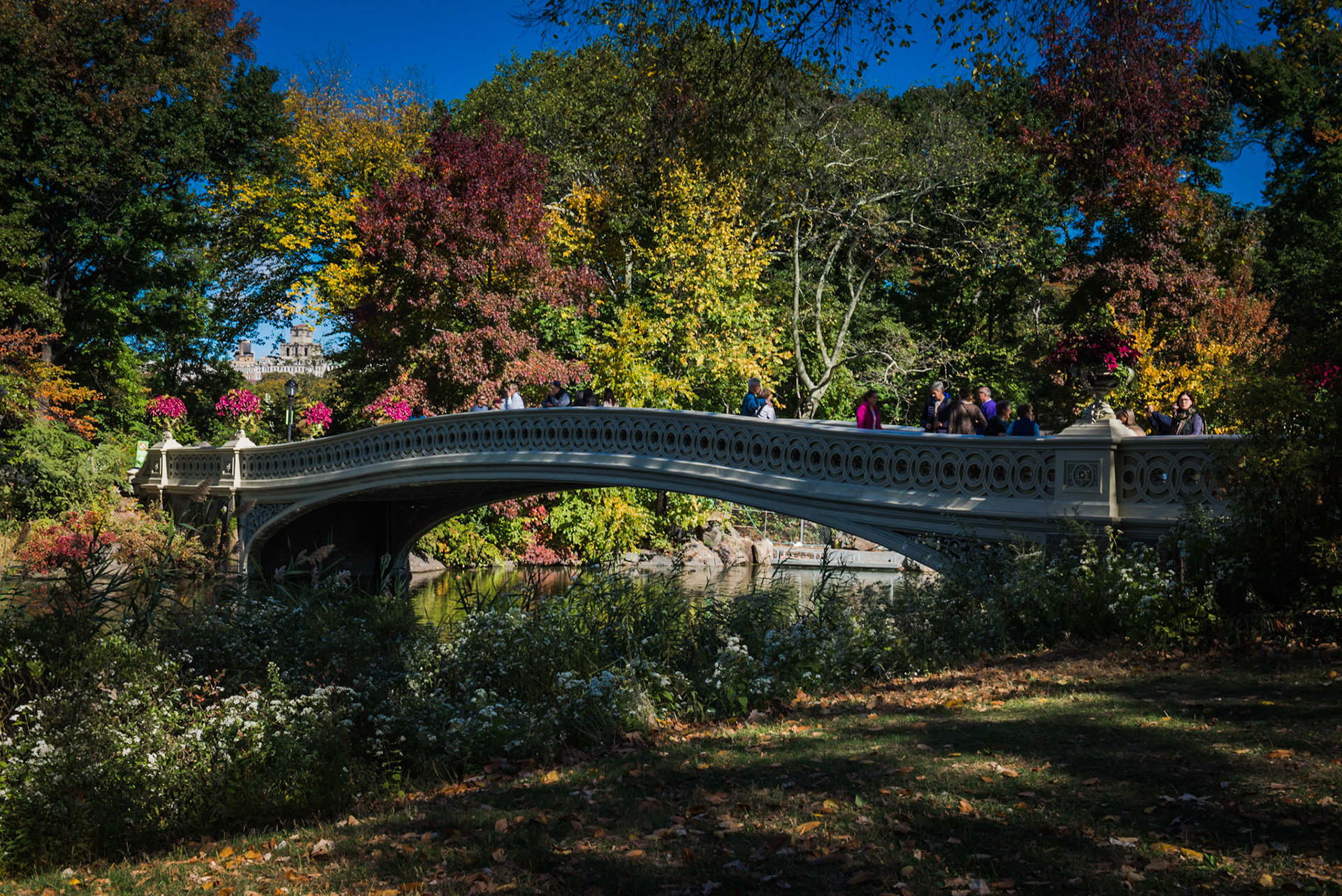 The first Cast Iron Bridge in Central Park