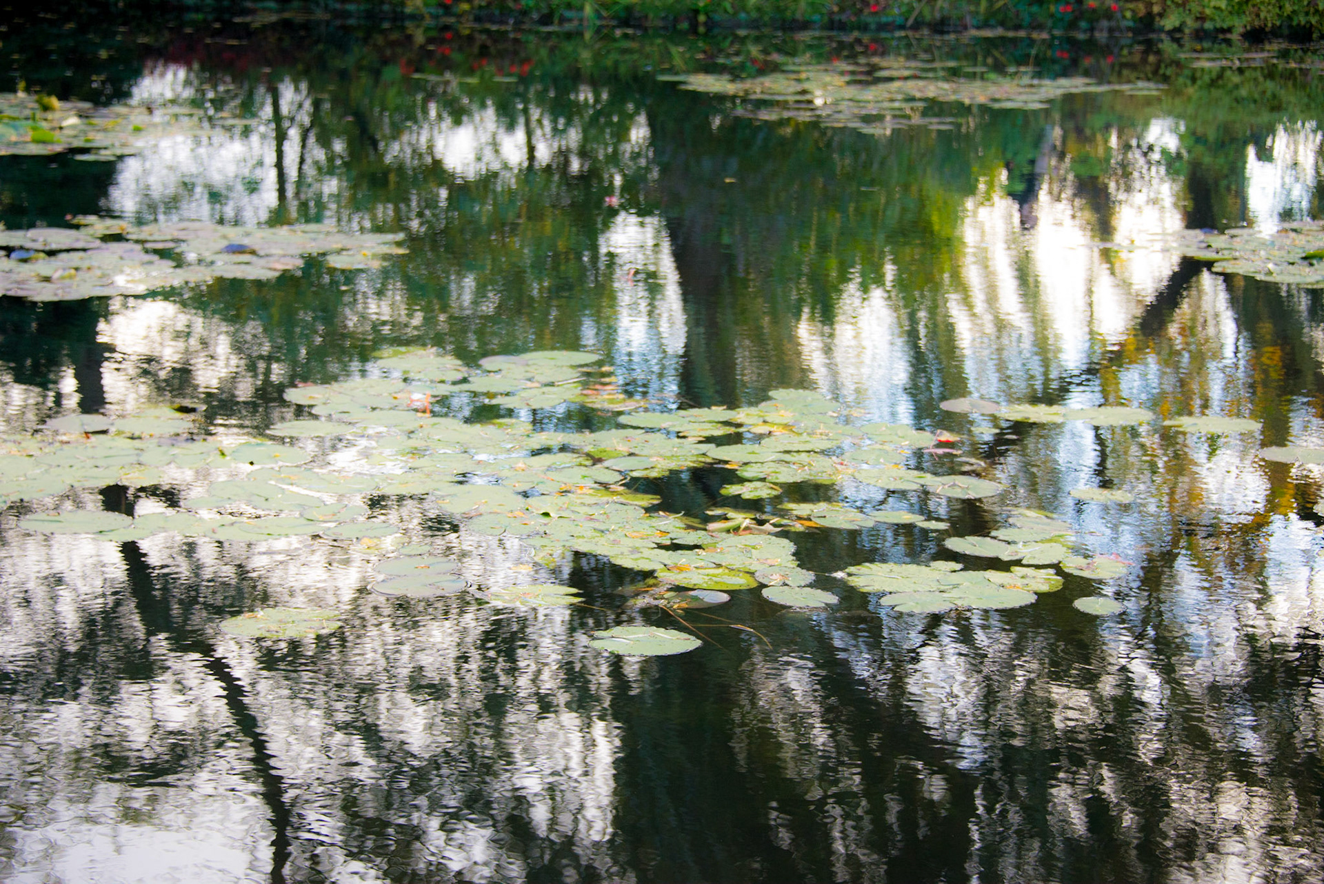 Claude Monet Giverny Garden