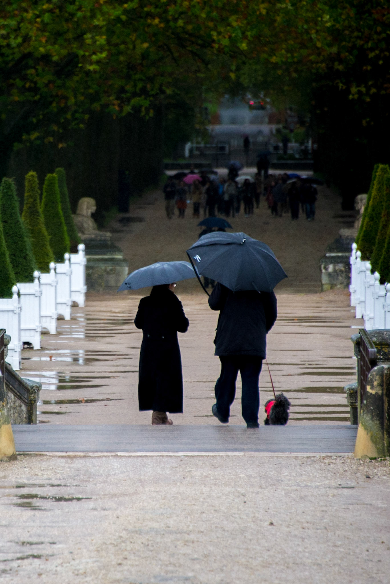Château de Chenonceau