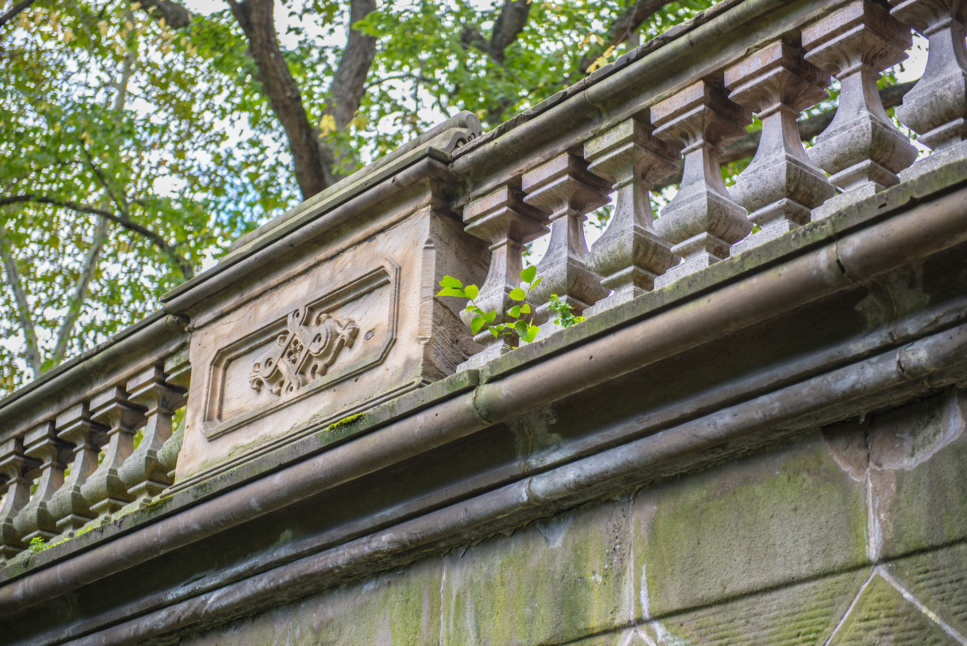 Glade Archway - Central Park NYC, NY