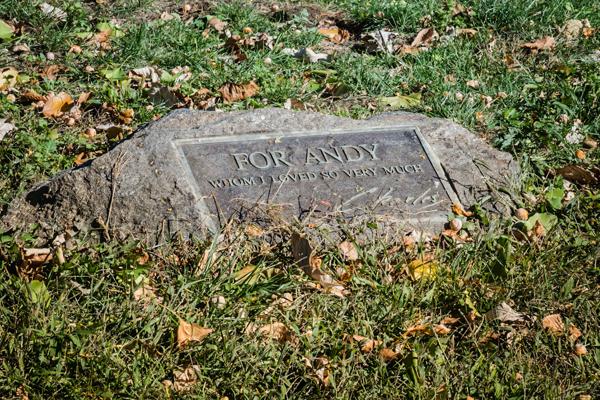 For whom I loved so very much.  Charles Lisanby