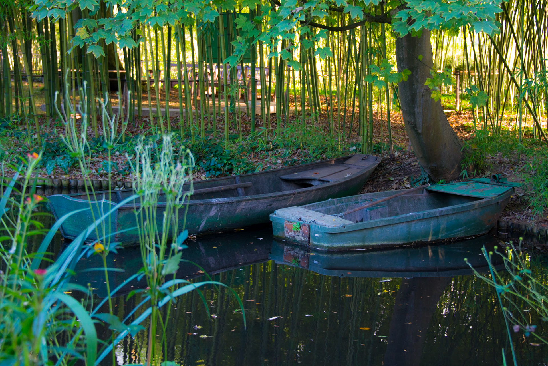 Claude Monet Giverny Garden