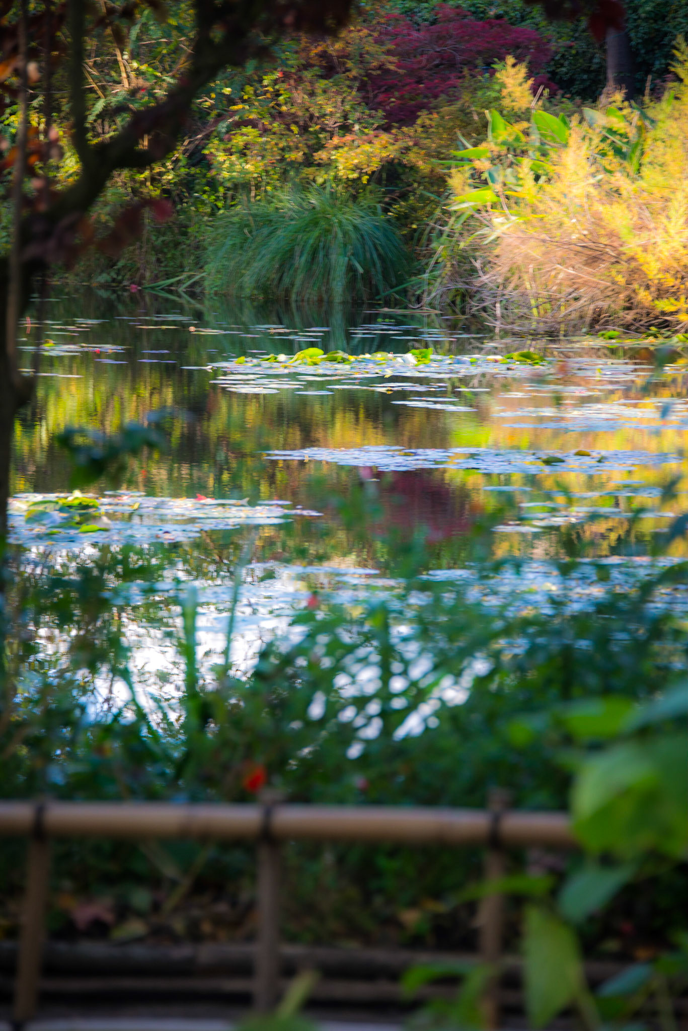 Claude Monet Giverny Garden