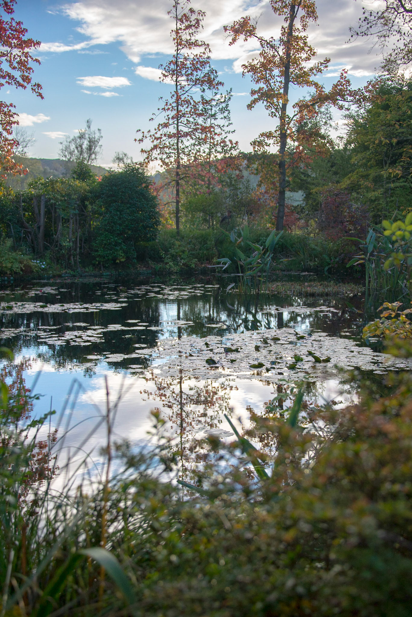 Claude Monet Giverny Garden