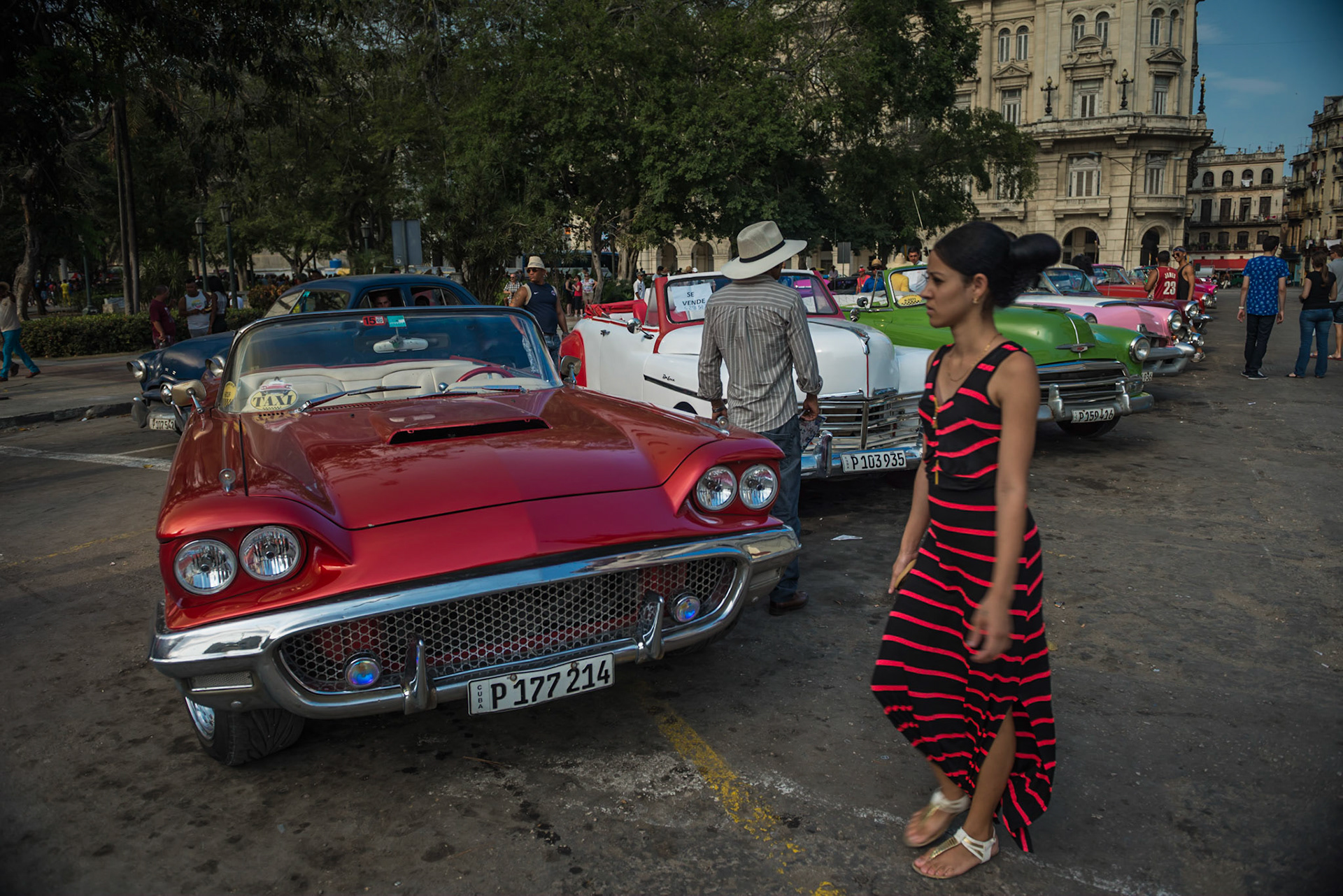 It's a Car Show here every day!