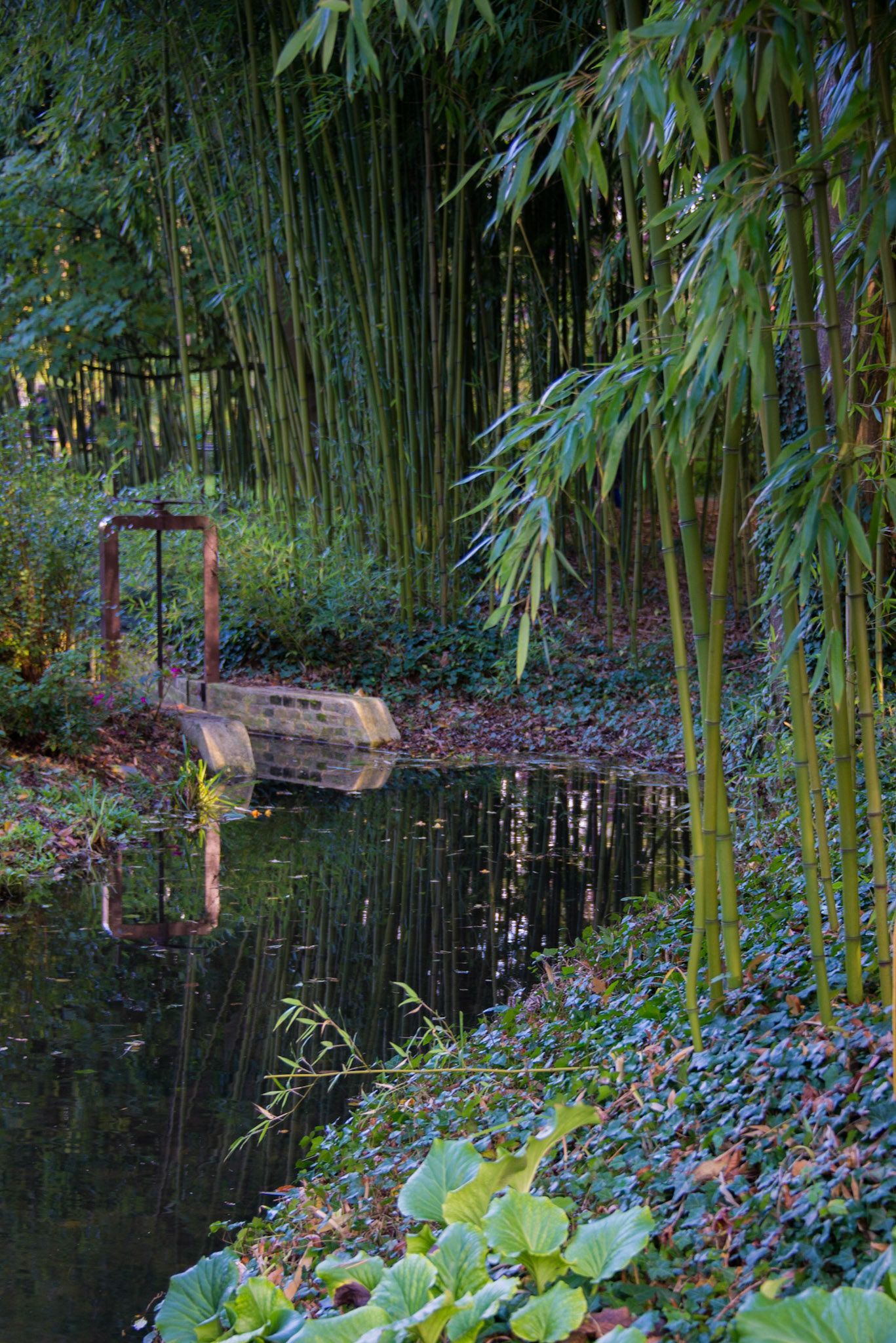 Claude Monet Giverny Garden