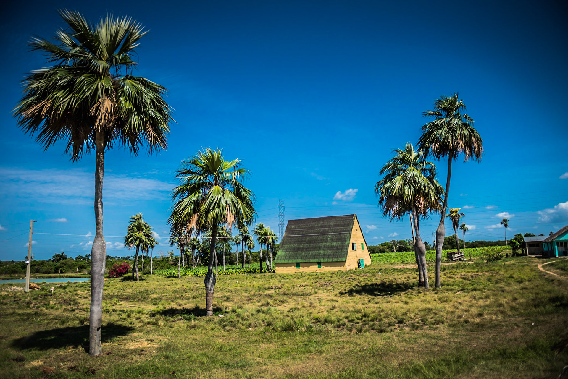 Pinar Del Rio: The Countryside