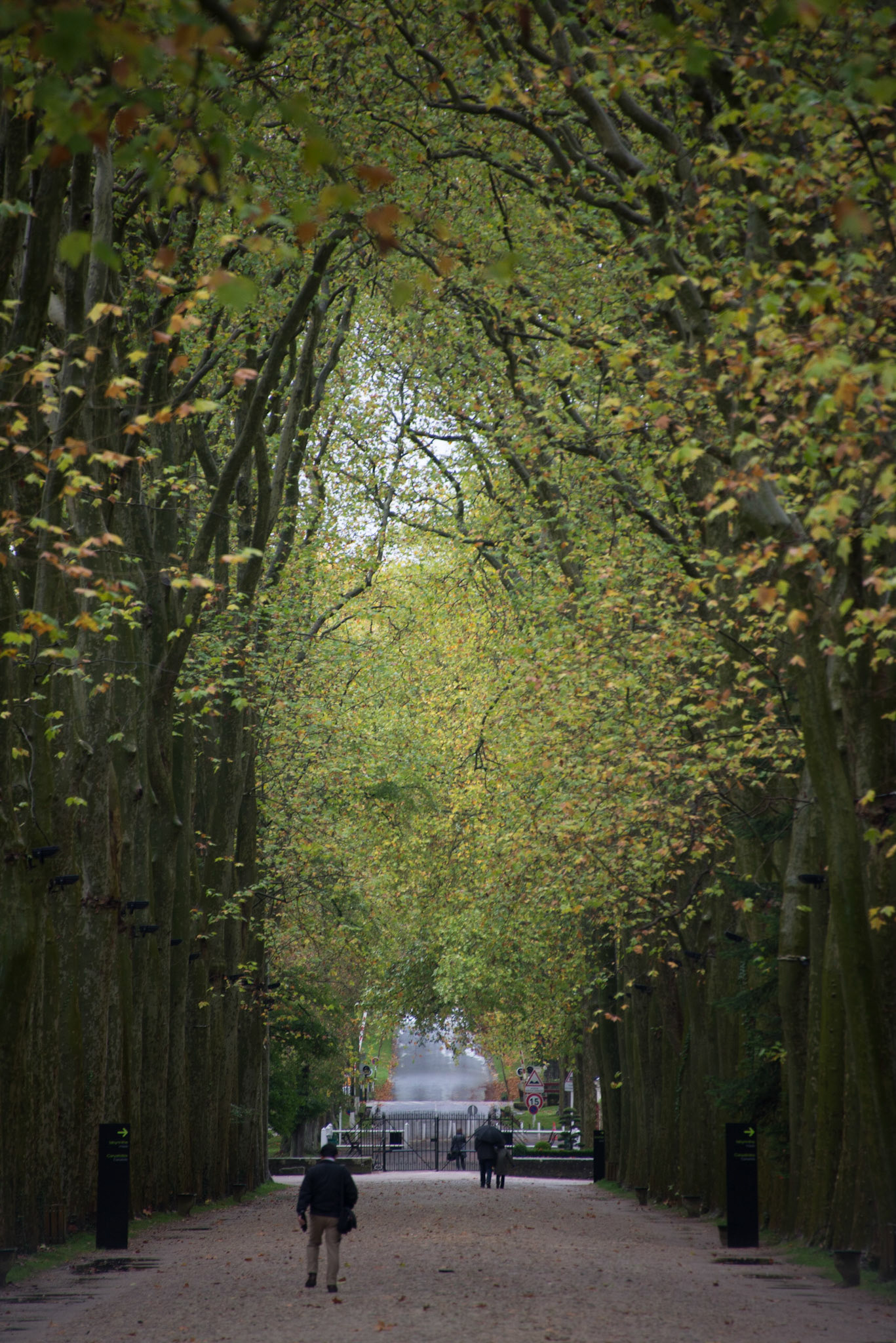 Château de Chenonceau