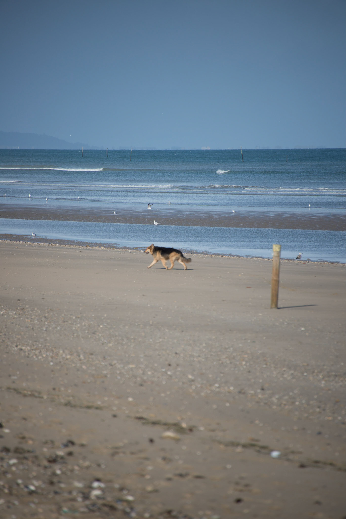 Utah Beach, Normandie France
