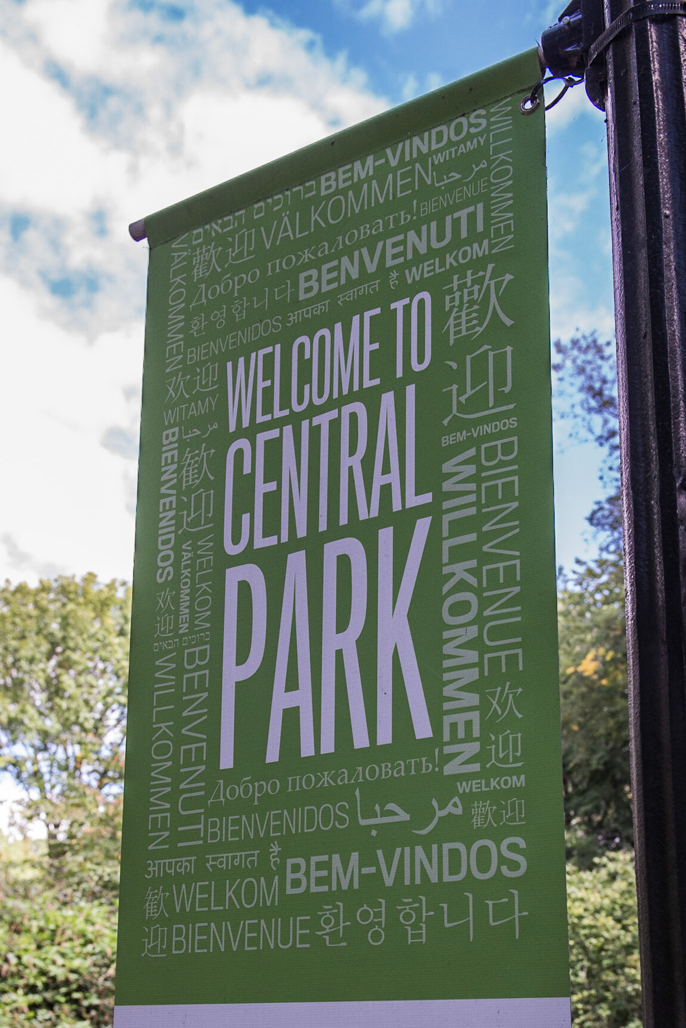 Central Park Banner