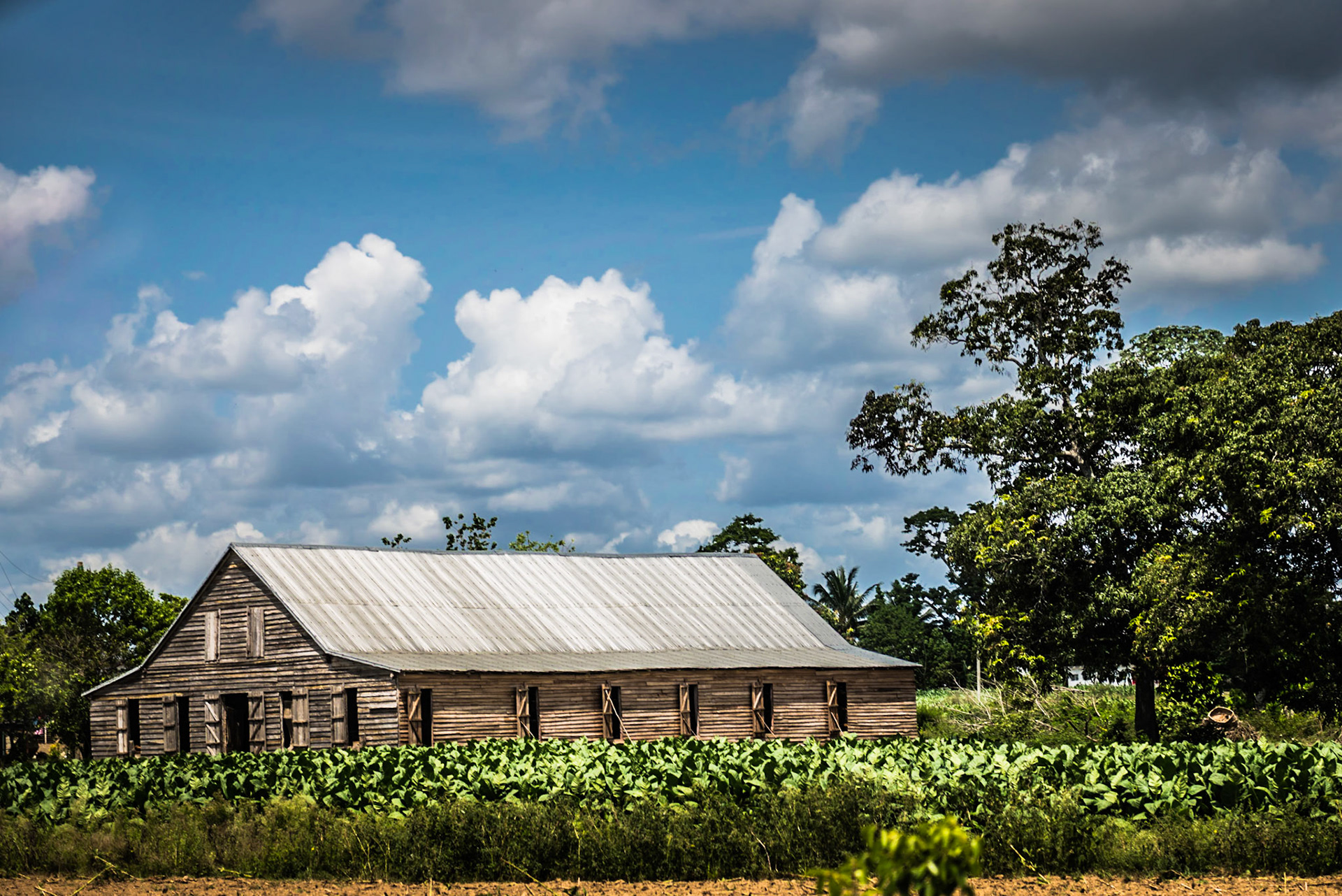 Pinar Del Rio: The Countryside