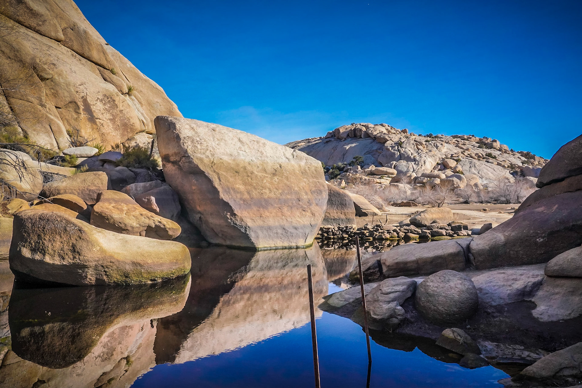 EXHALE ~ Joshua Tree 2020