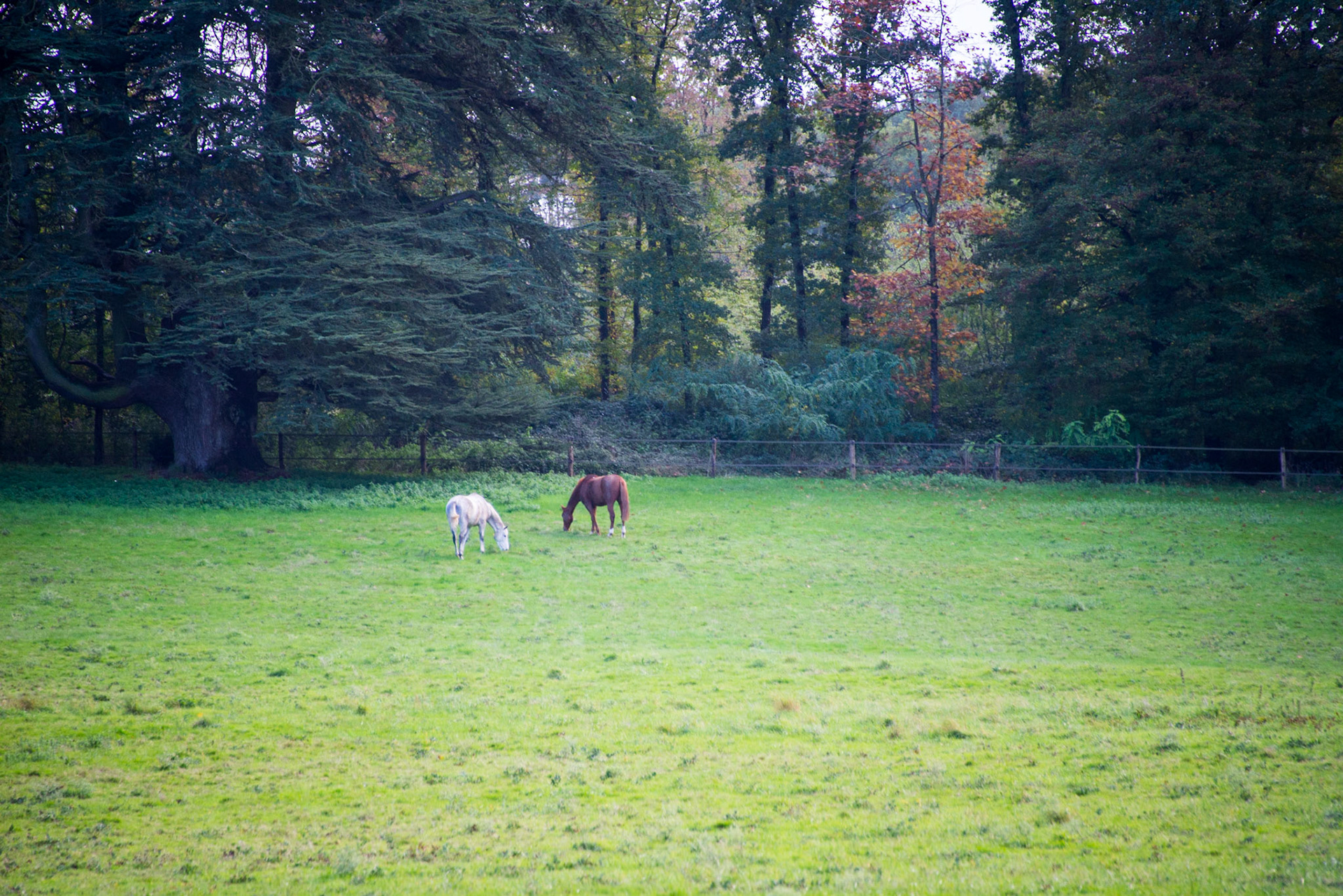 Château des Arpentis