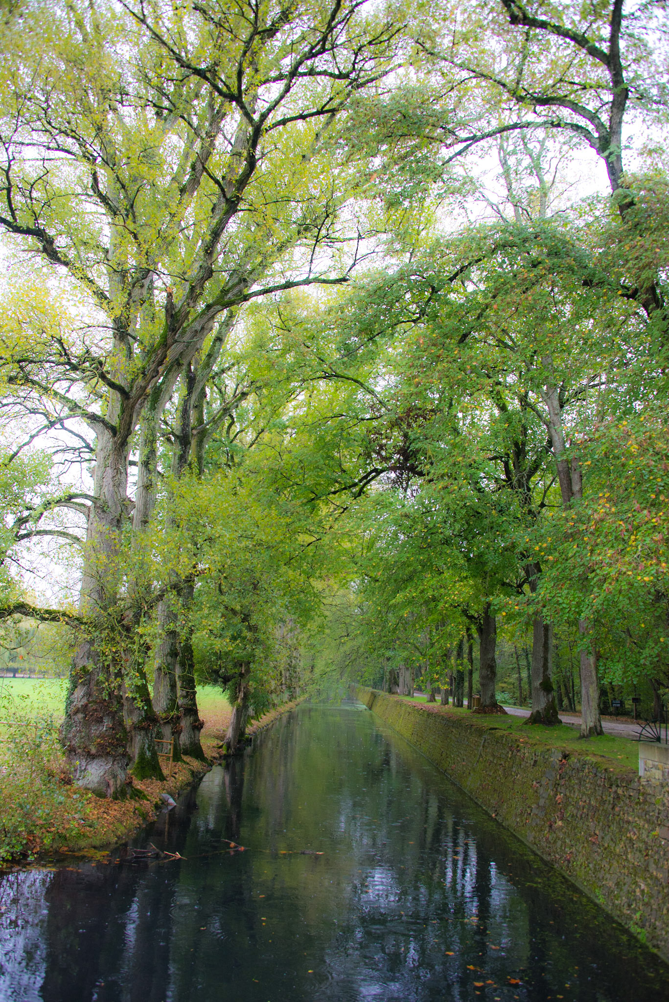 Château de Chenonceau