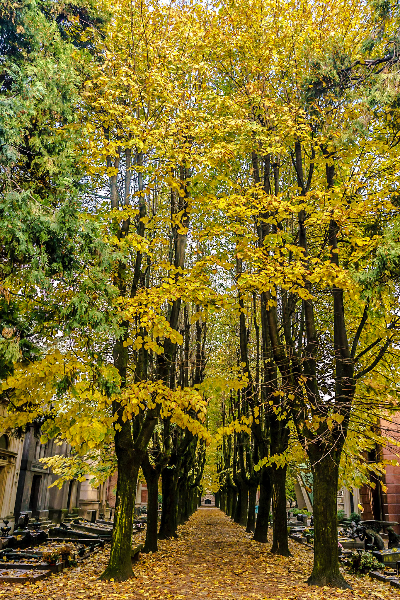noted for the abundance of artistic tombs and monuments