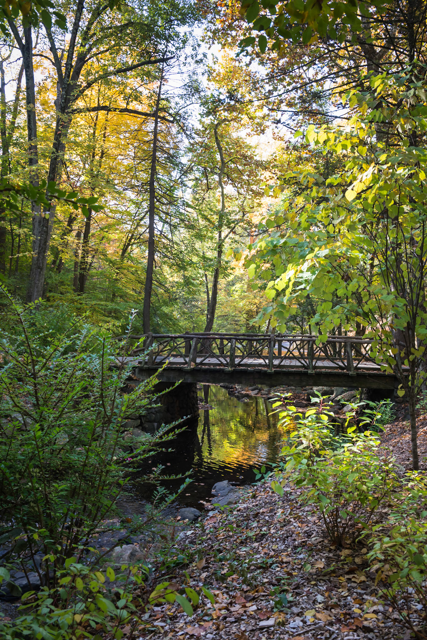 Sleepy Hollow Cemetery in Tarrytown New York