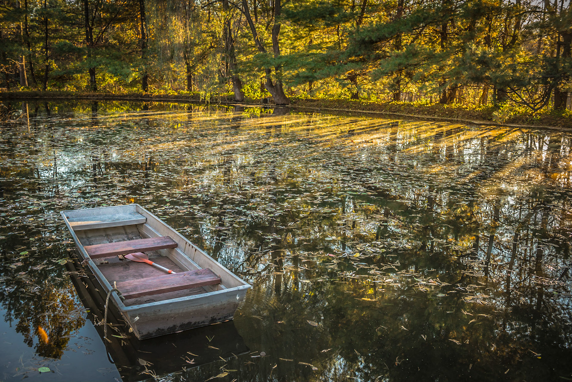 The scene at a bed and breakfast in Rhinebeck NY
