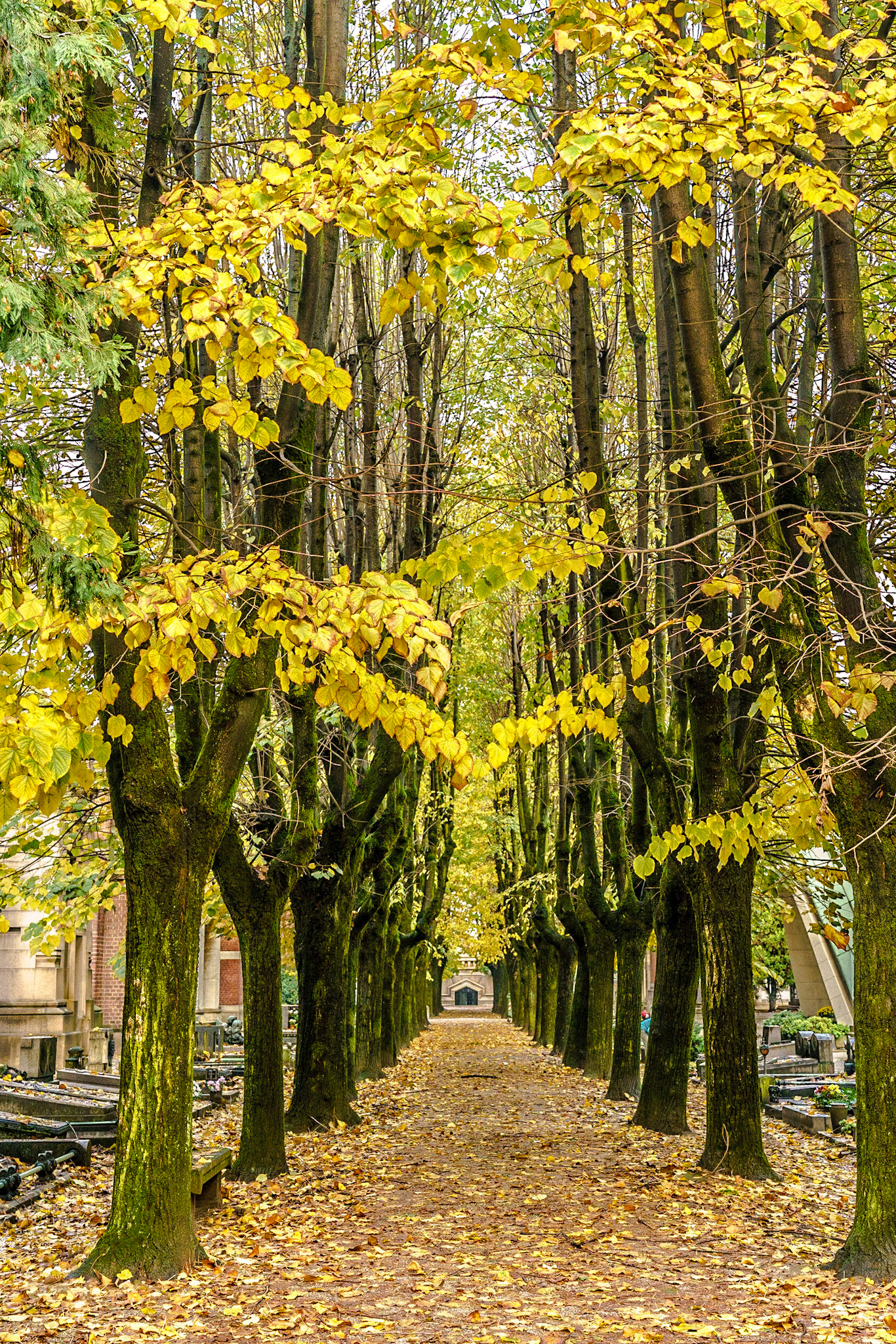 noted for the abundance of artistic tombs and monuments