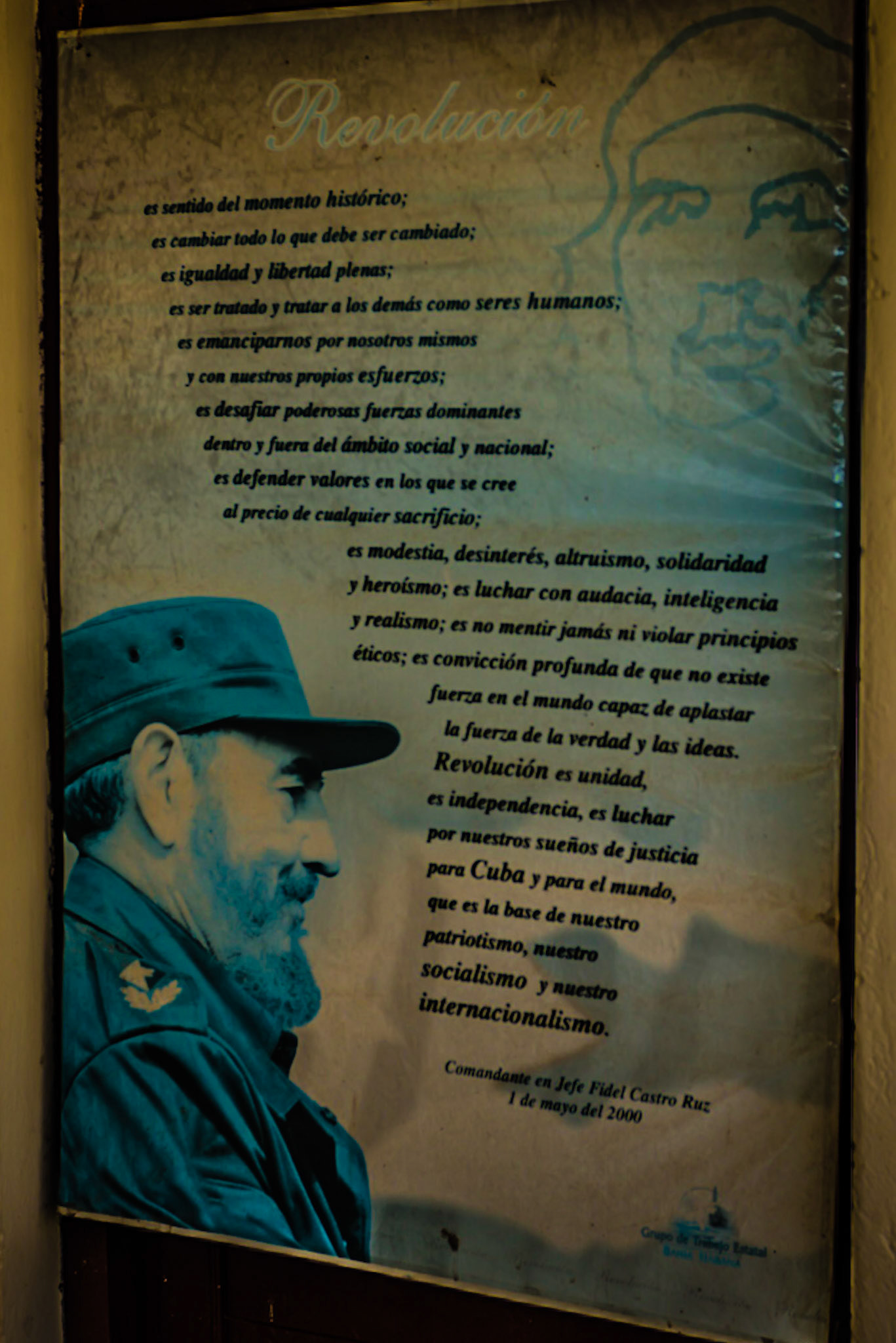 Revolucion at Robaina Farm