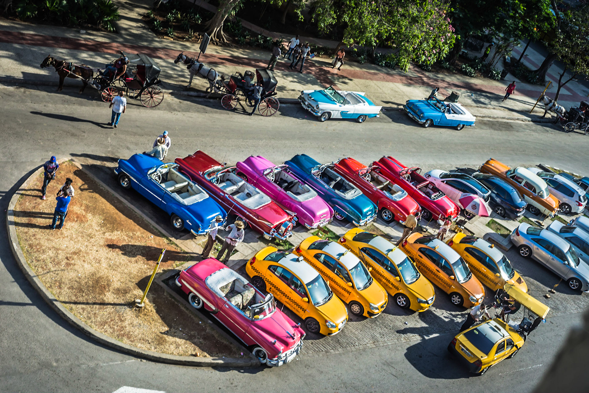 Everyday's a Car Show