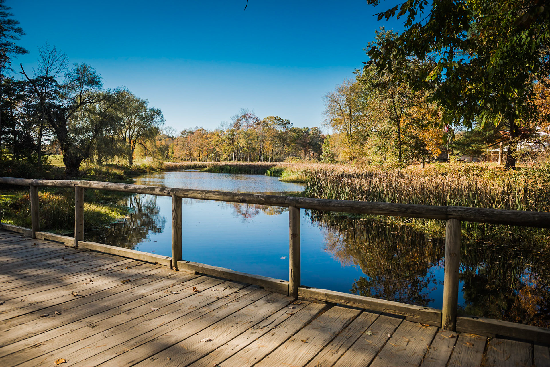 Eleanor Roosevelt's Cottage