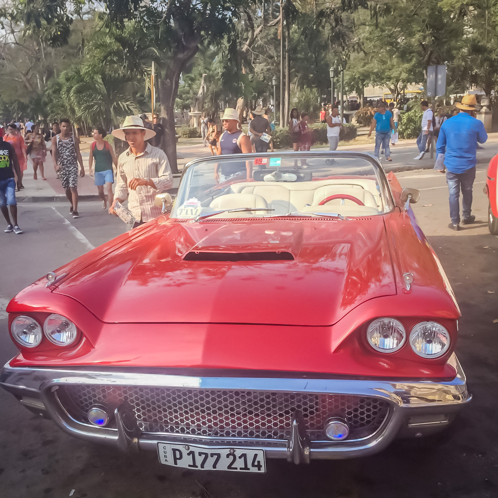 Looks like a Thunderbird?