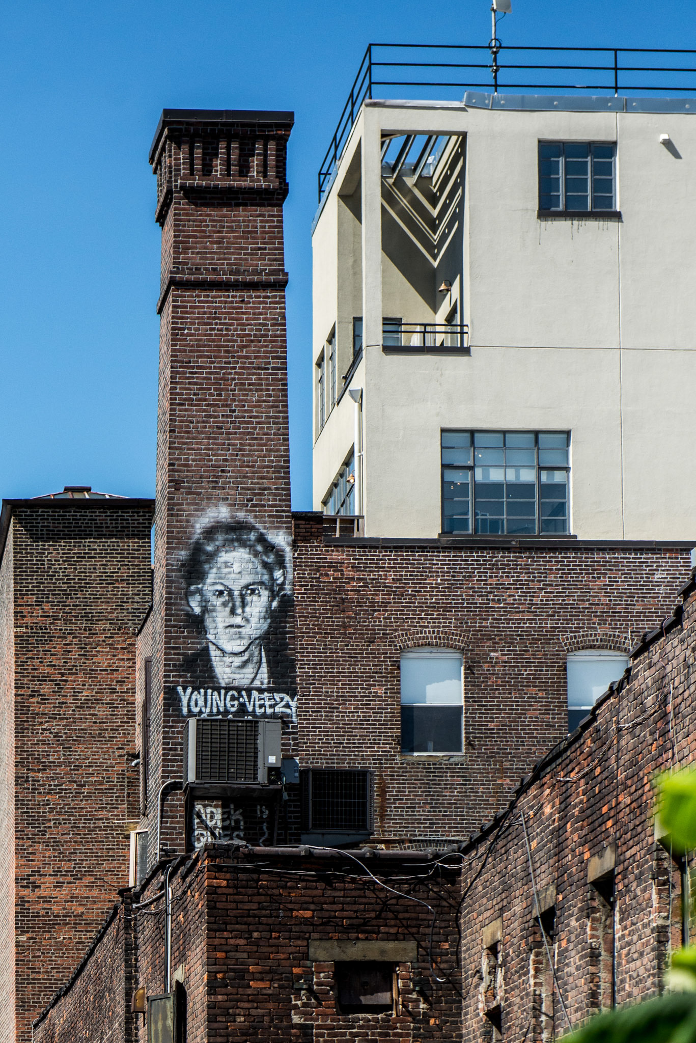 Young Veezy on the High Line