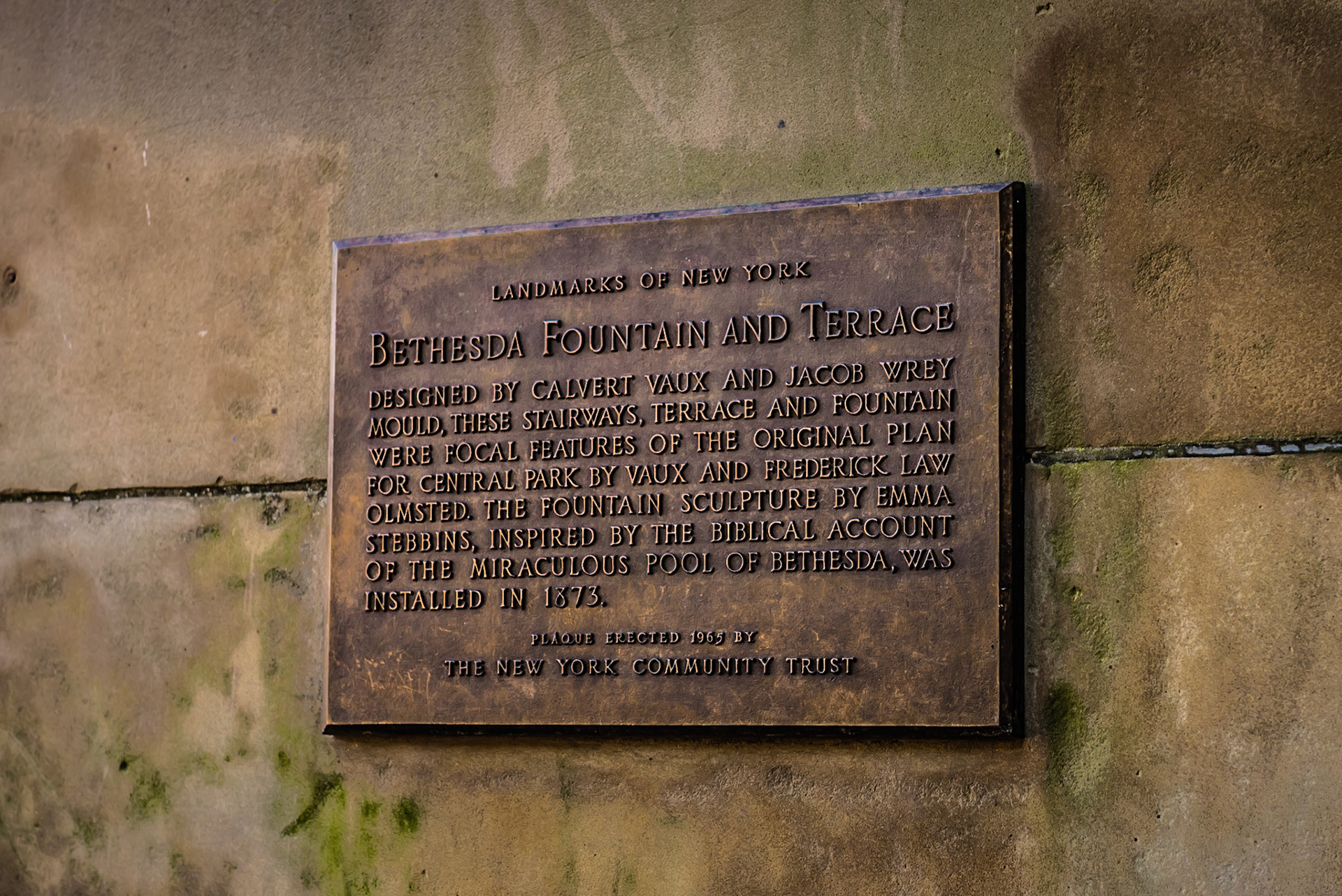 Central Park - New York