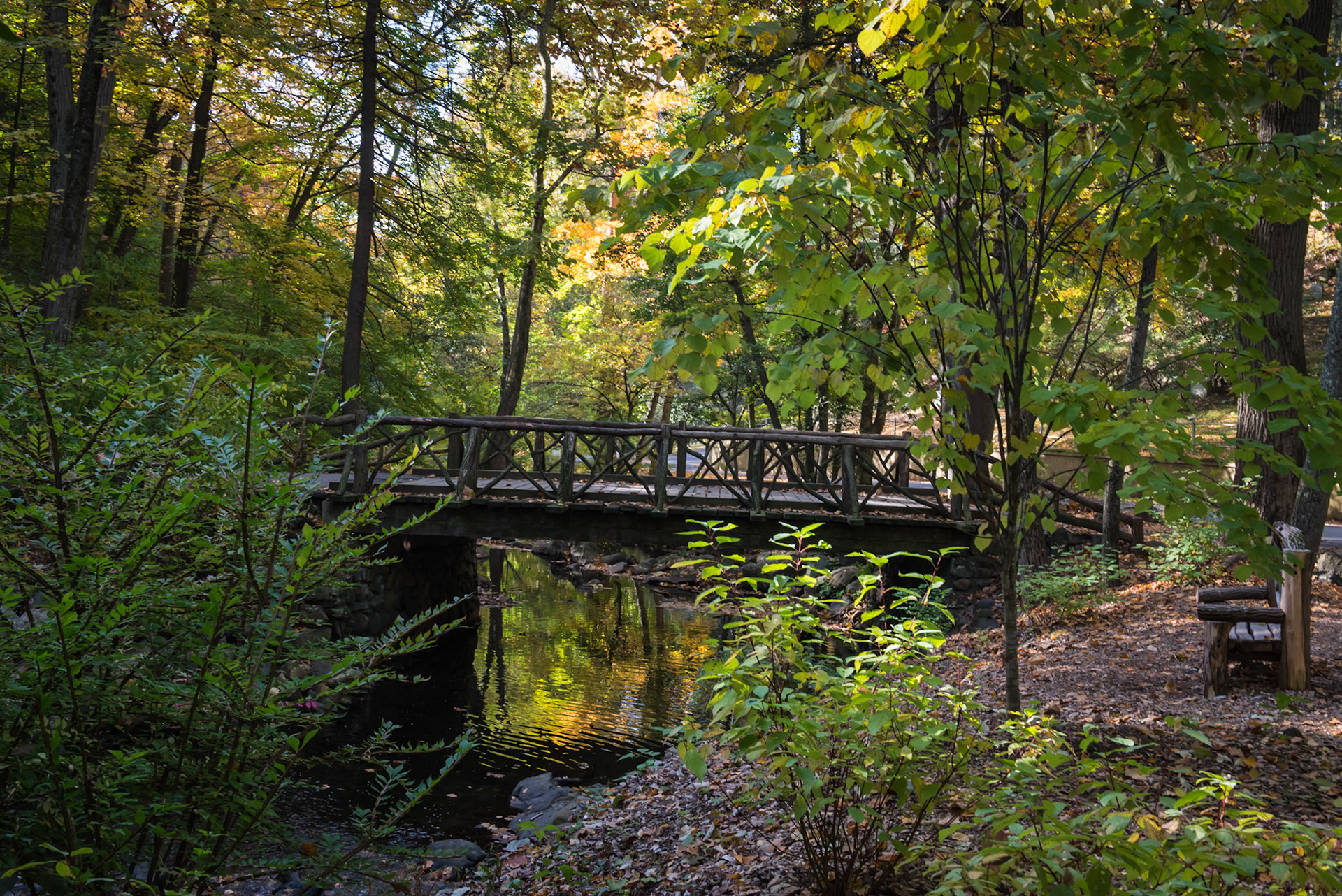Sleepy Hollow Cemetery in Tarrytown New York