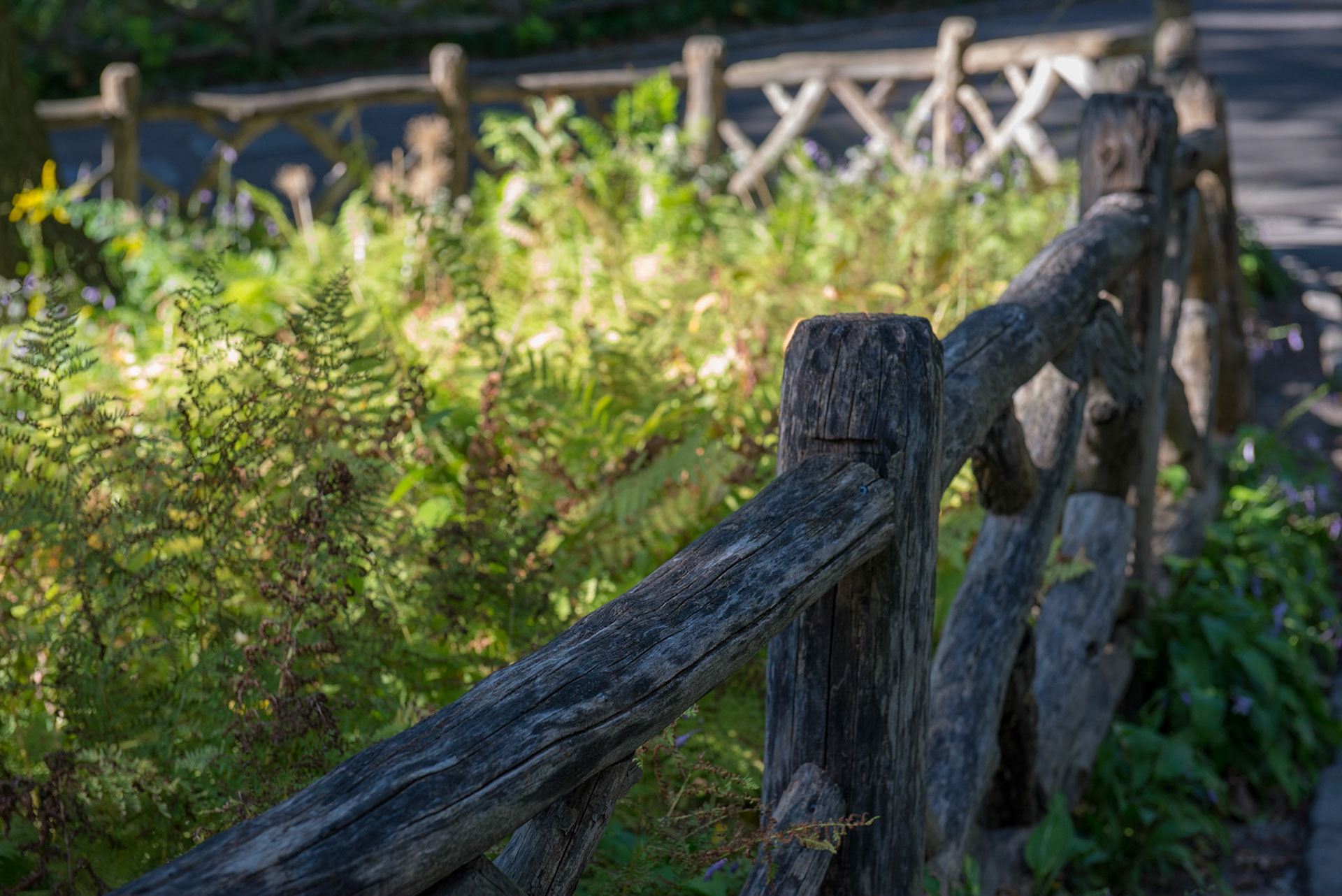 Central Park Wooden Fence