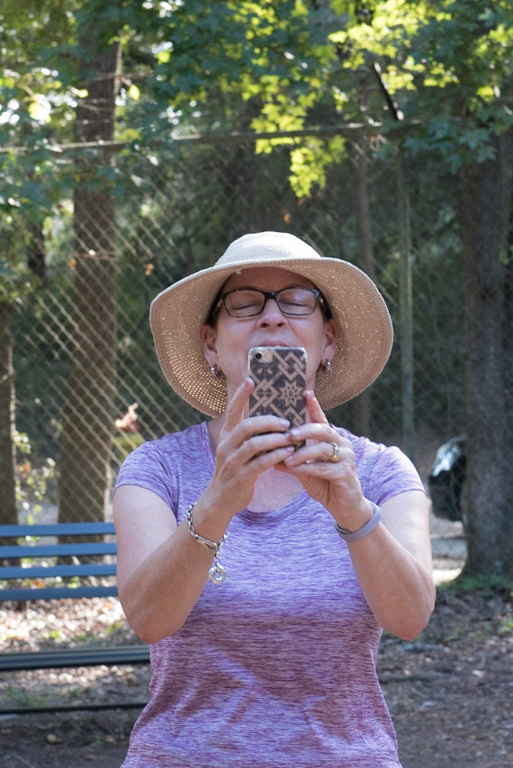 Capturing the Dead Oak with a phone