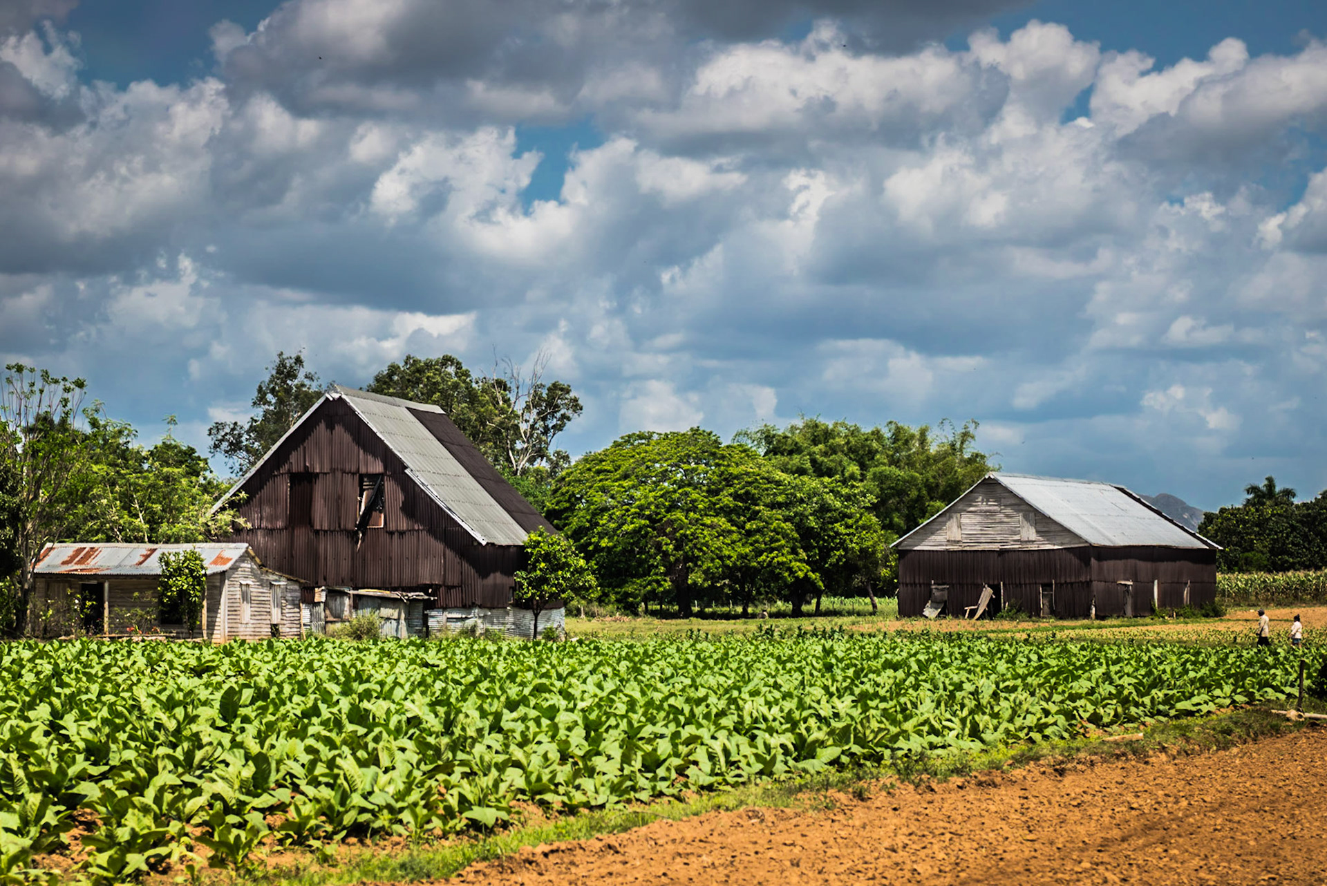 Pinar Del Rio: The Countryside