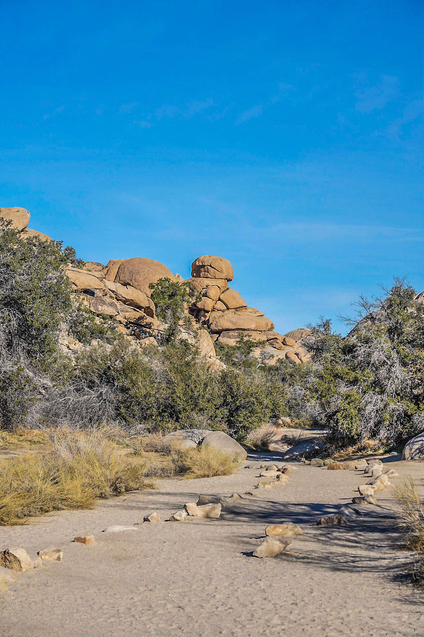 EXHALE ~ Joshua Tree 2020