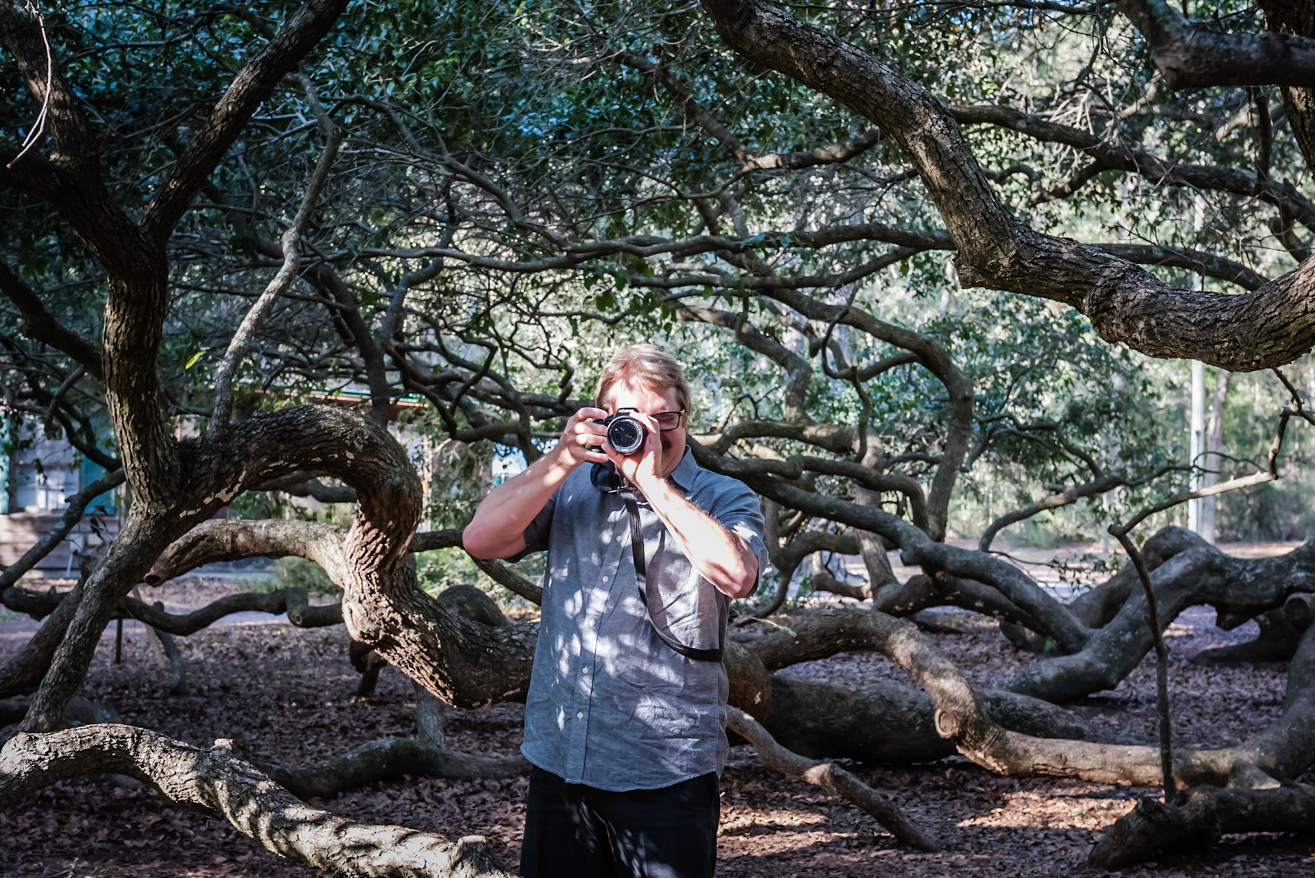 Photographing the Angel Oak Tree, John's Island