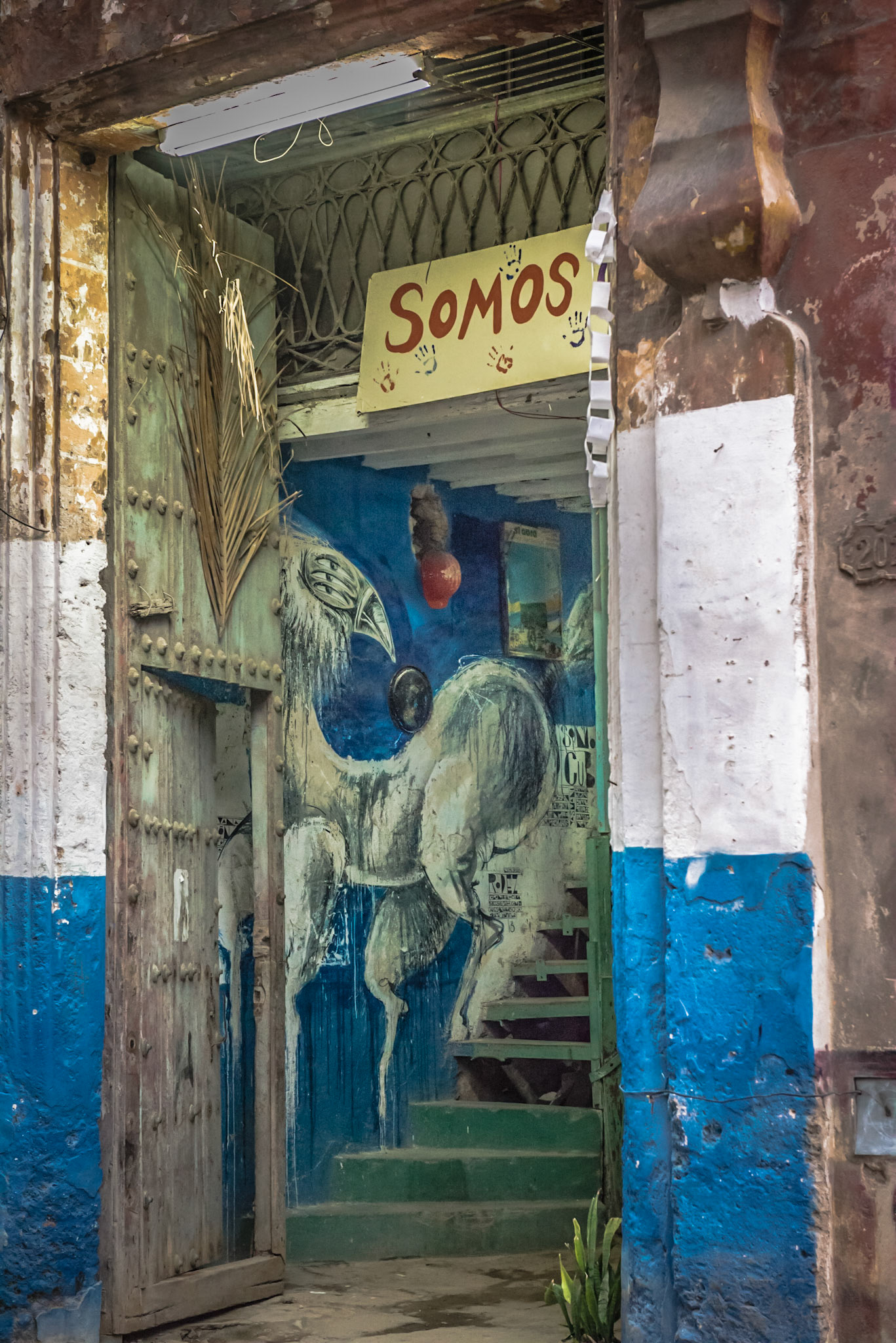 Early Morning Shutter