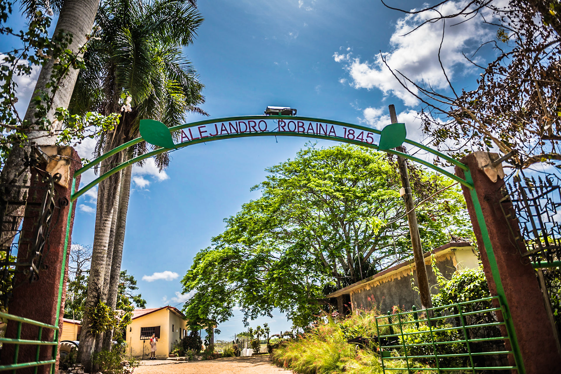 Alejandro Robaina 1845