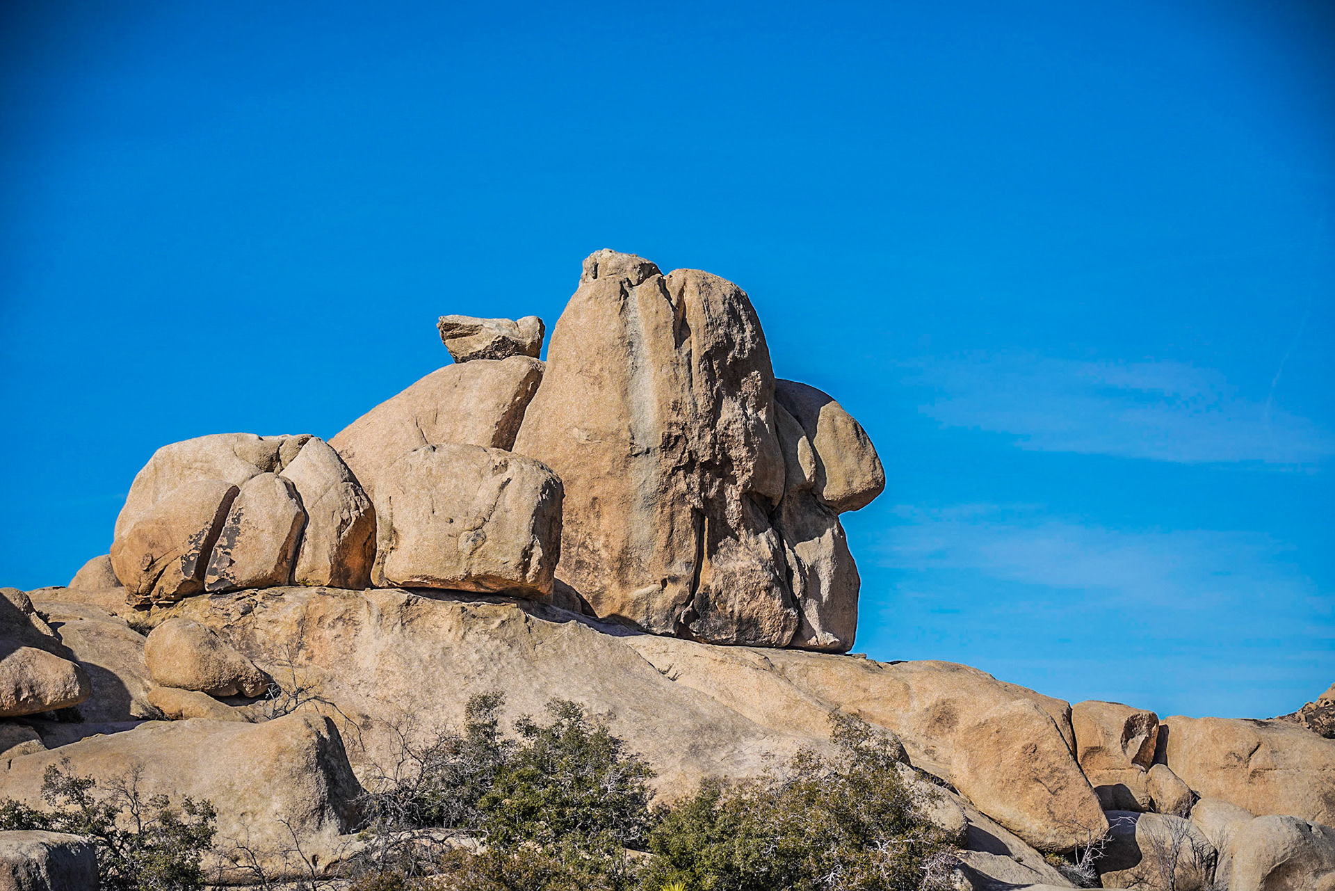 EXHALE ~ Joshua Tree 2020