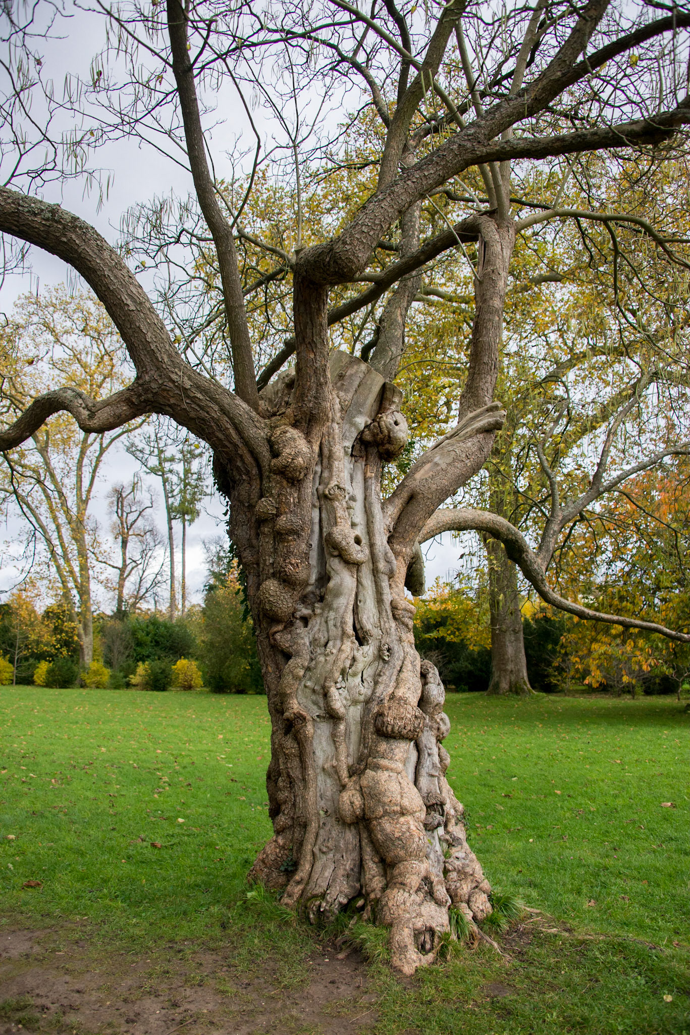 Queens Hamlet - Palace of Versailles