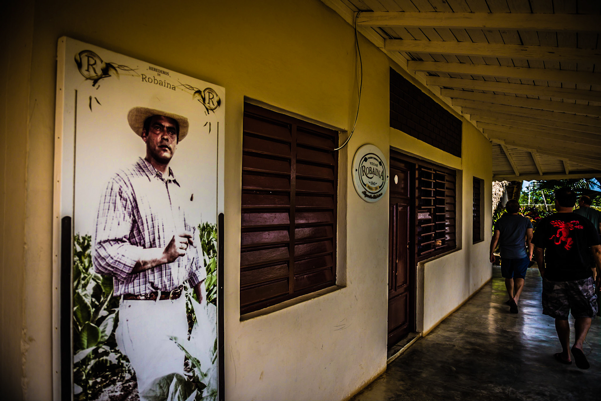 The Robaina Farm Tour