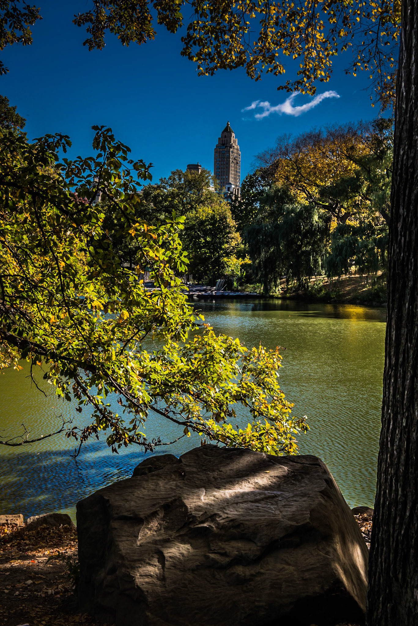 Central Park - New York