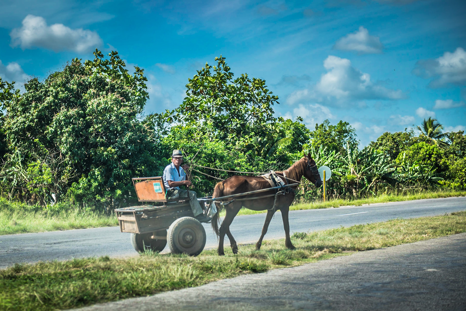 Ice cread?  Peanuts?