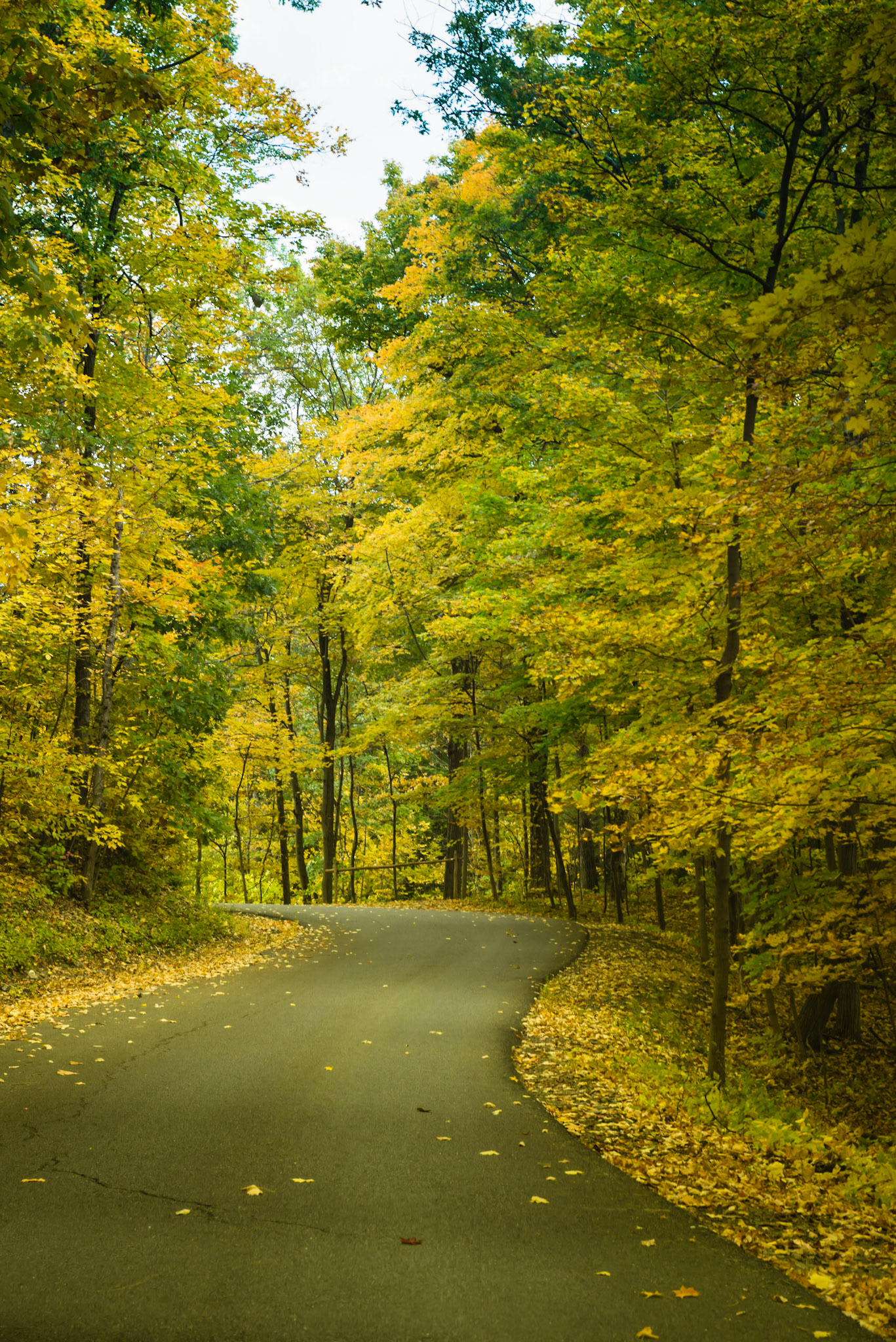 Color of the Season at Olana