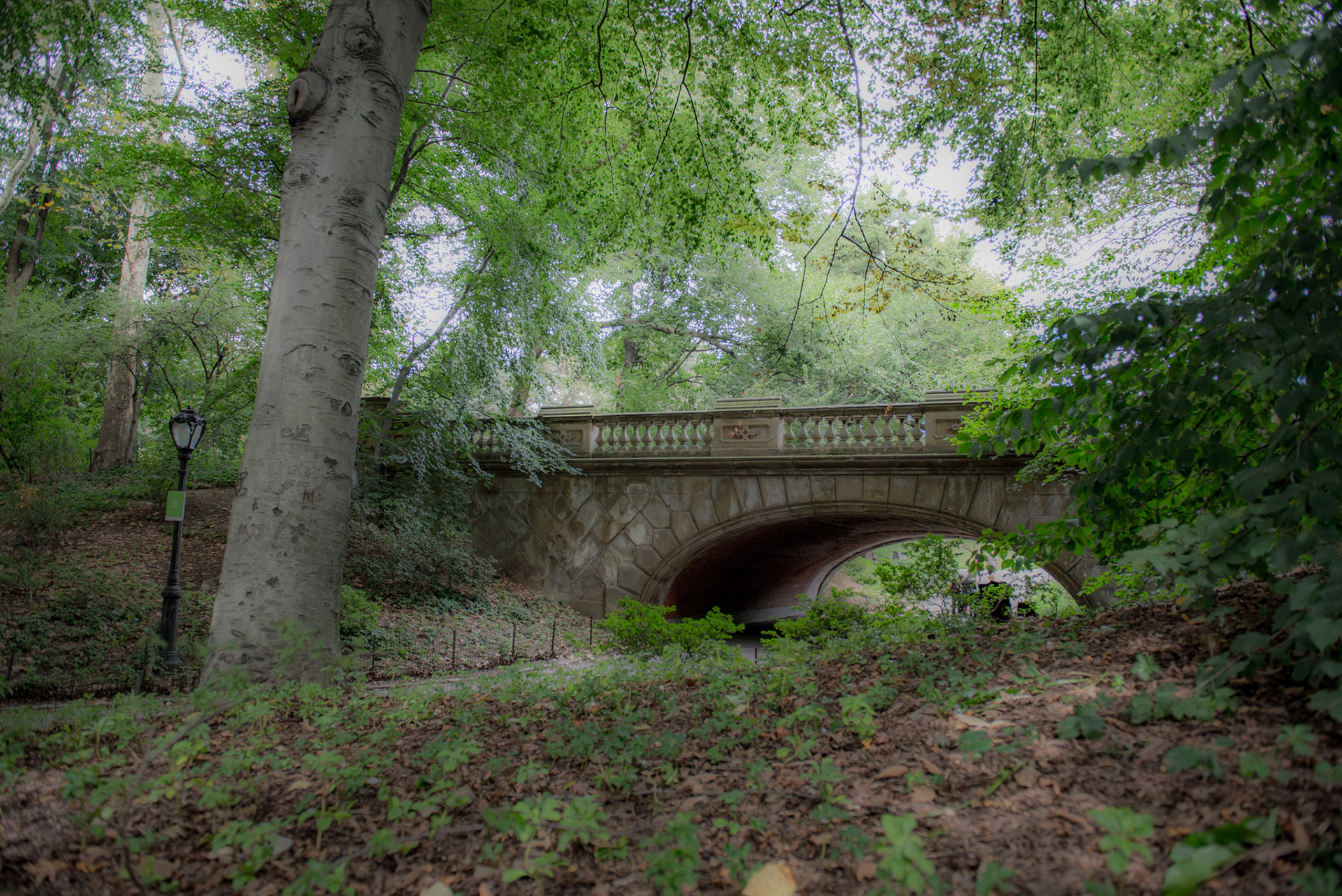Glade Archway - Central Park NYC, NY