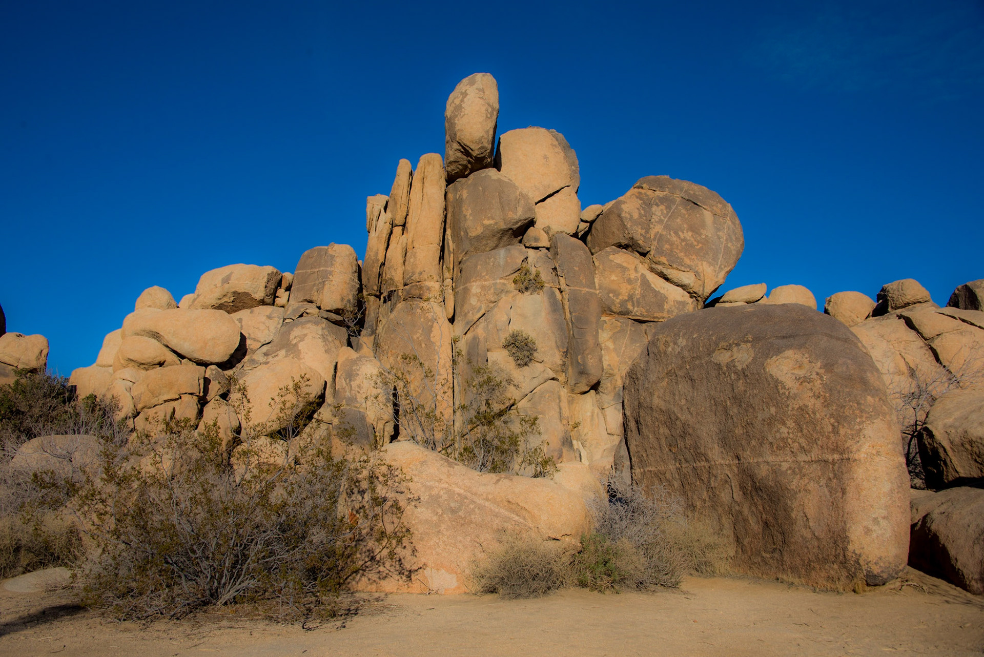 Joshua Tree National Monument